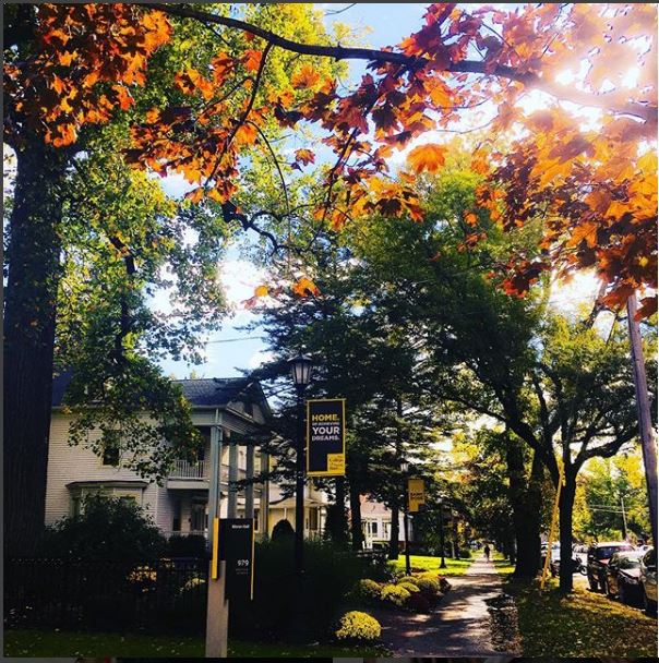 THE COLLEGE OF SAINT ROSE